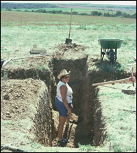 North-south and east-west cross-section trenches through Kiva 2, Area 2, 5MT2 (SL-YJ-JC-004)