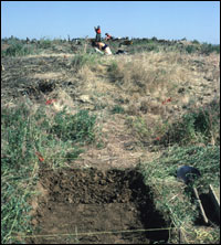 Initial excavations for 16 m test trench in Area 2, facing north. (SL-YJ-JMT-005)