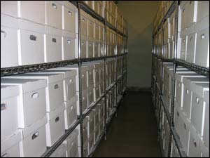Image of collections after